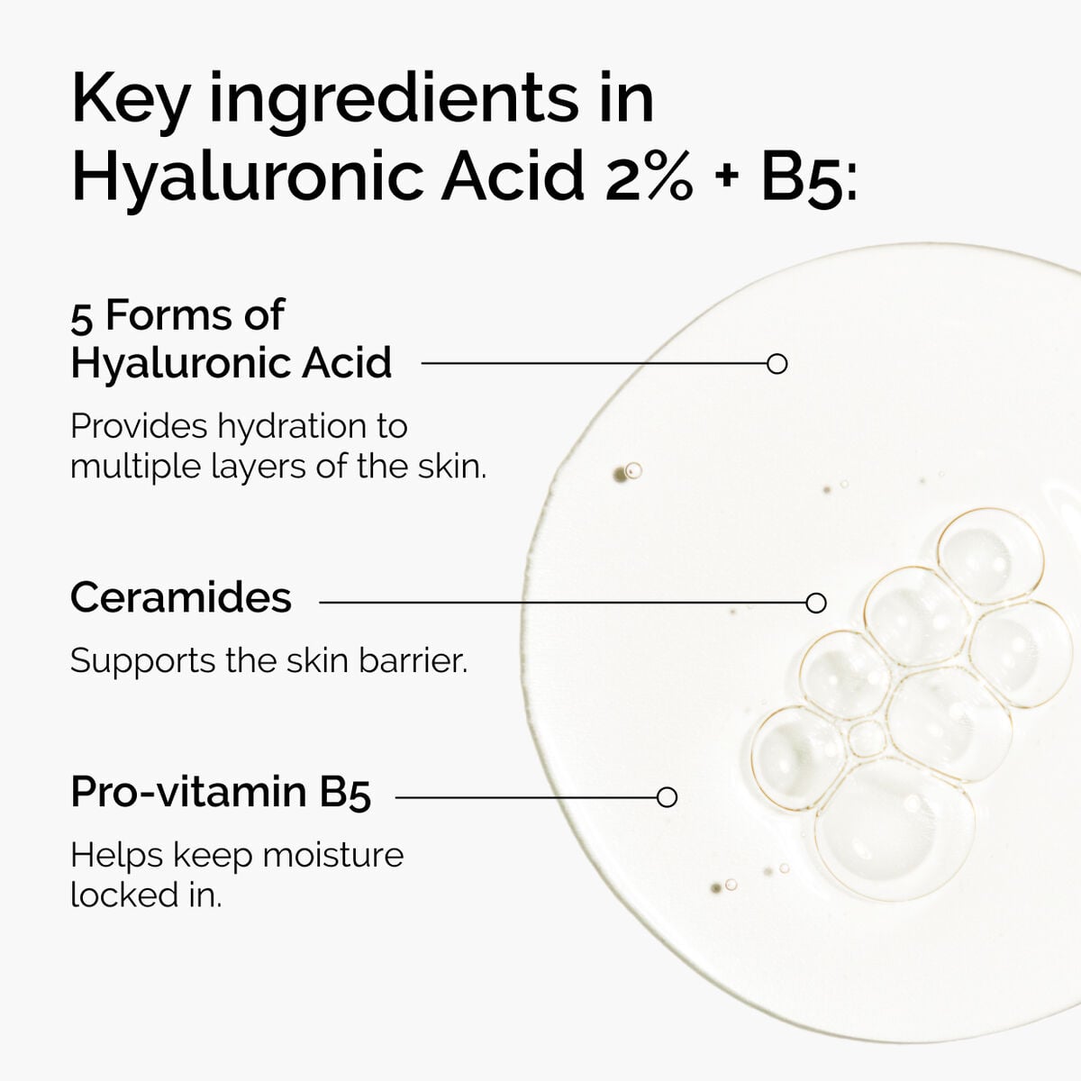 hyaluronic-acid-2-b5-with-ceramides-s8 ord-hyaluronic-acid-2pct-b5-hydrating-serum-ingredients-graphic.jpg